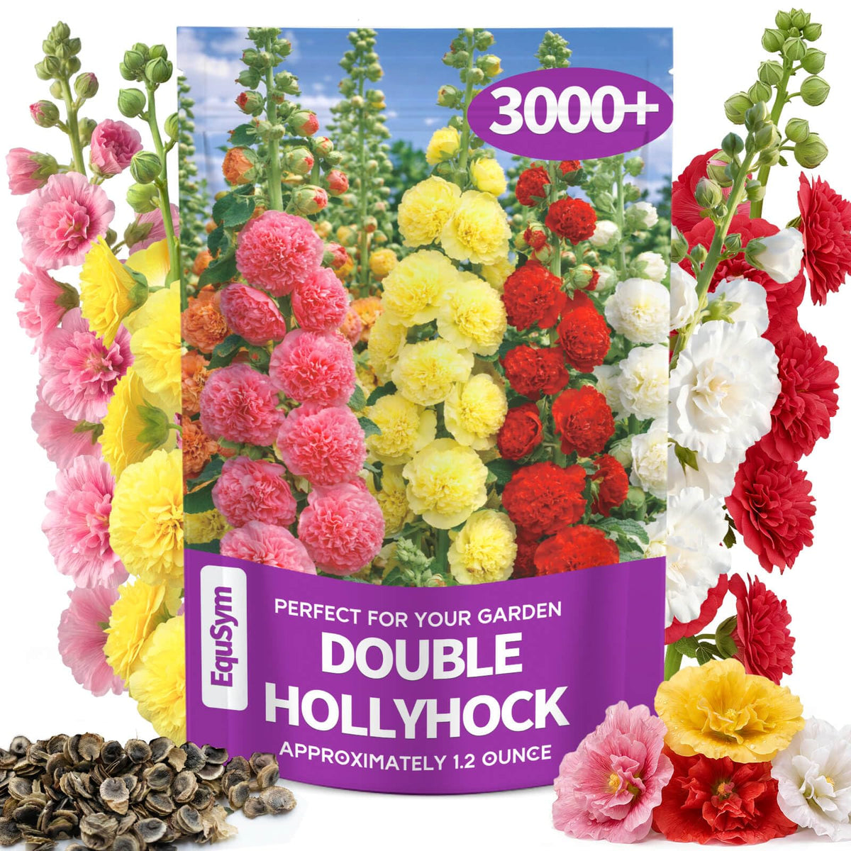 EquSym hollyhock seeds bulk pack for large borders and backdrops.