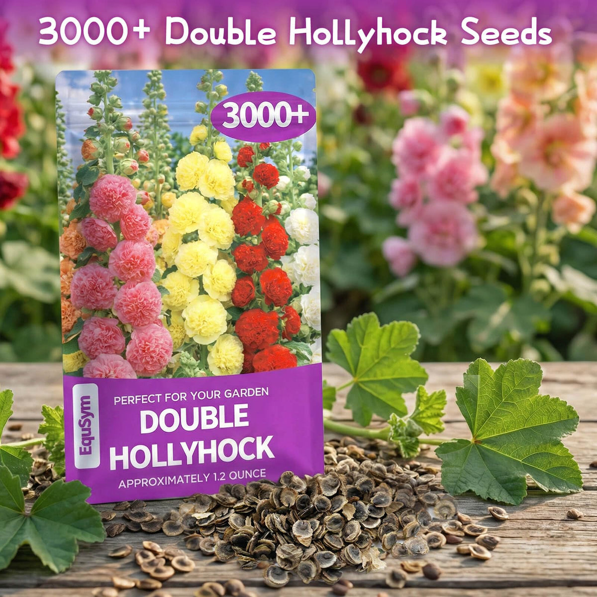 EquSym hollyhock seeds germination close-up showing early bloom potential.