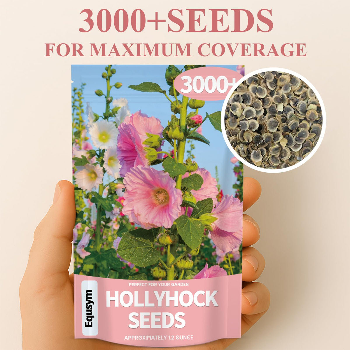 EquSym hollyhock seeds produce tall garden blossoms ideal for cottage-style landscapes.