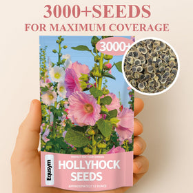 EquSym hollyhock seeds produce tall garden blossoms ideal for cottage-style landscapes.
