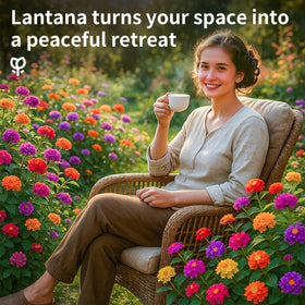 EquSym lantana seeds attract butterflies and hummingbirds to gardens.