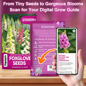 EquSym mixed foxglove colors for varied border interest