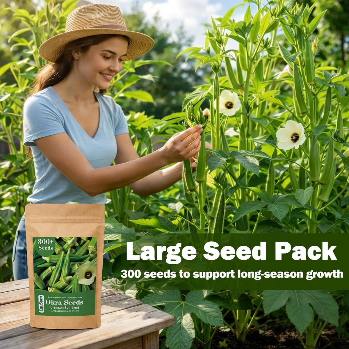 EquSym full-sun garden ready-to-harvest okra plants.