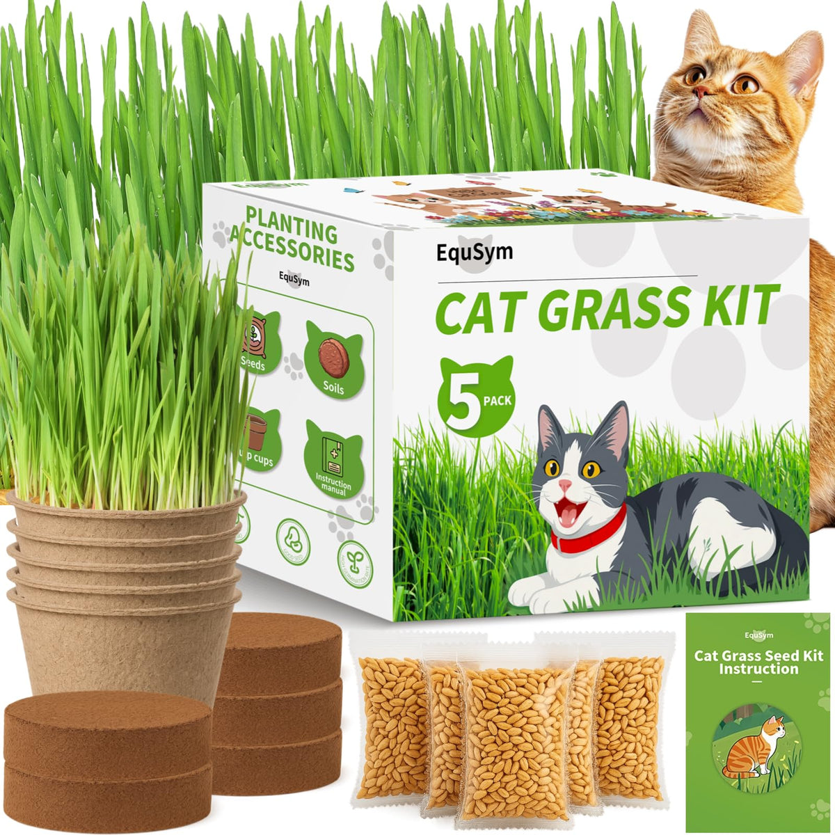 EquSym cat grass seeds kit packaging, ideal gift for cat lovers and beginners.
