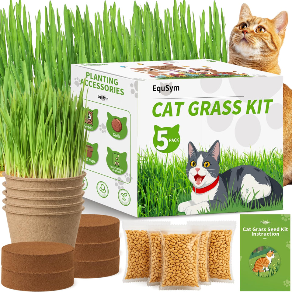 EquSym cat grass seeds kit packaging, ideal gift for cat lovers and beginners.
