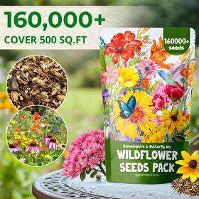 EquSym pollinator-friendly mix attracts bees and butterflies for ecological beauty.