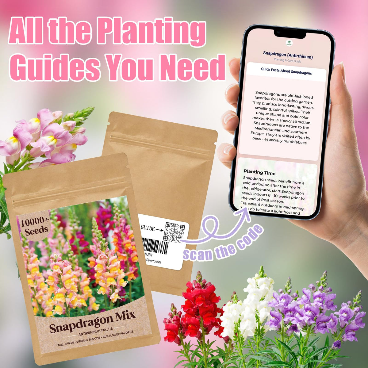 EquSym snapdragon seeds for pots ideal for container gardens