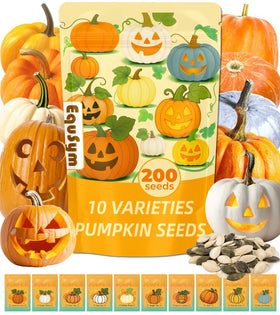 EquSym pumpkin seeds packaging bag showcasing a premium seed set for planting