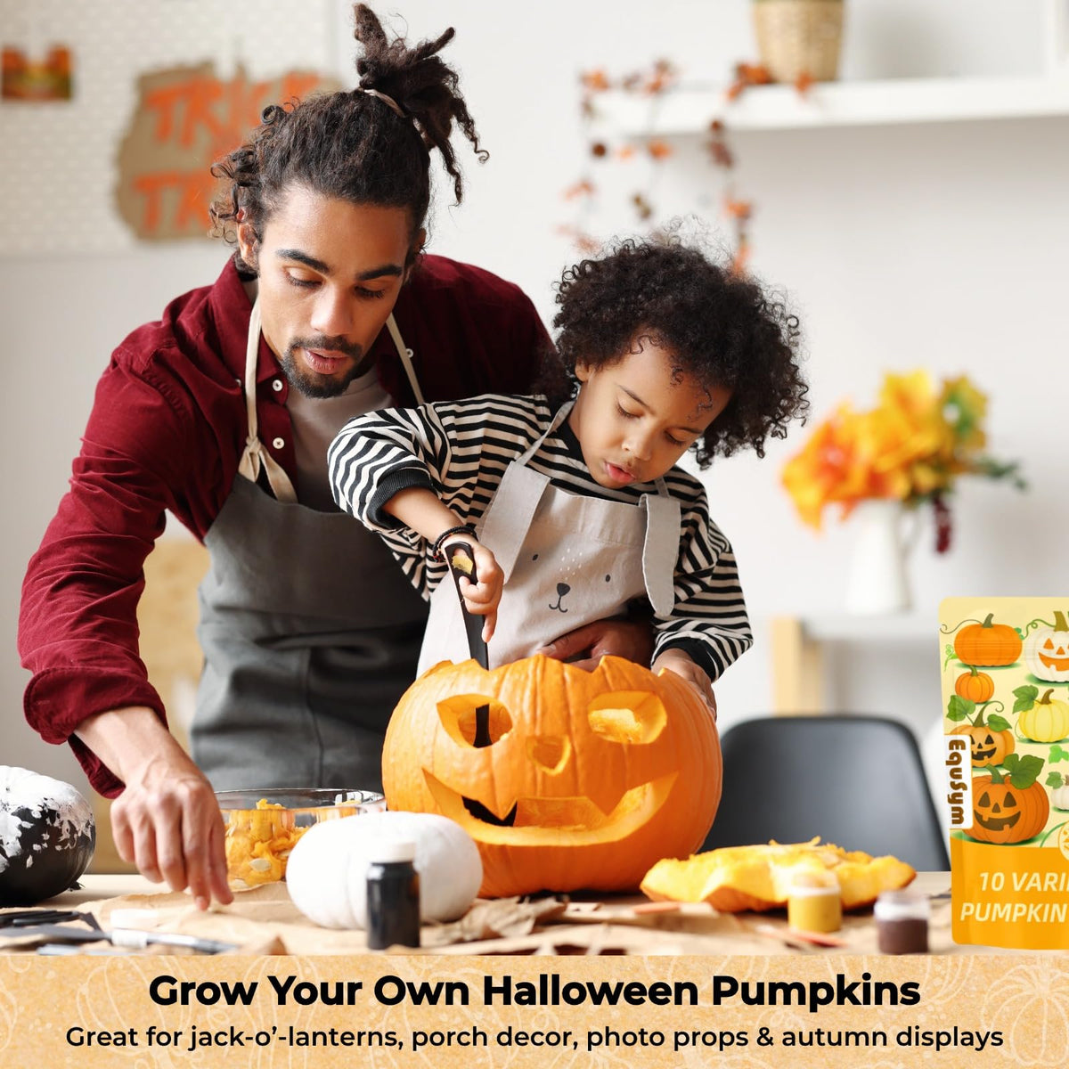 EquSym pumpkin seeds soak and prep guide inspires easy planting and germination