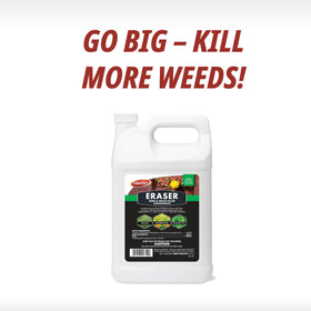 Before-and-after garden image highlights weed reduction using Eraser.