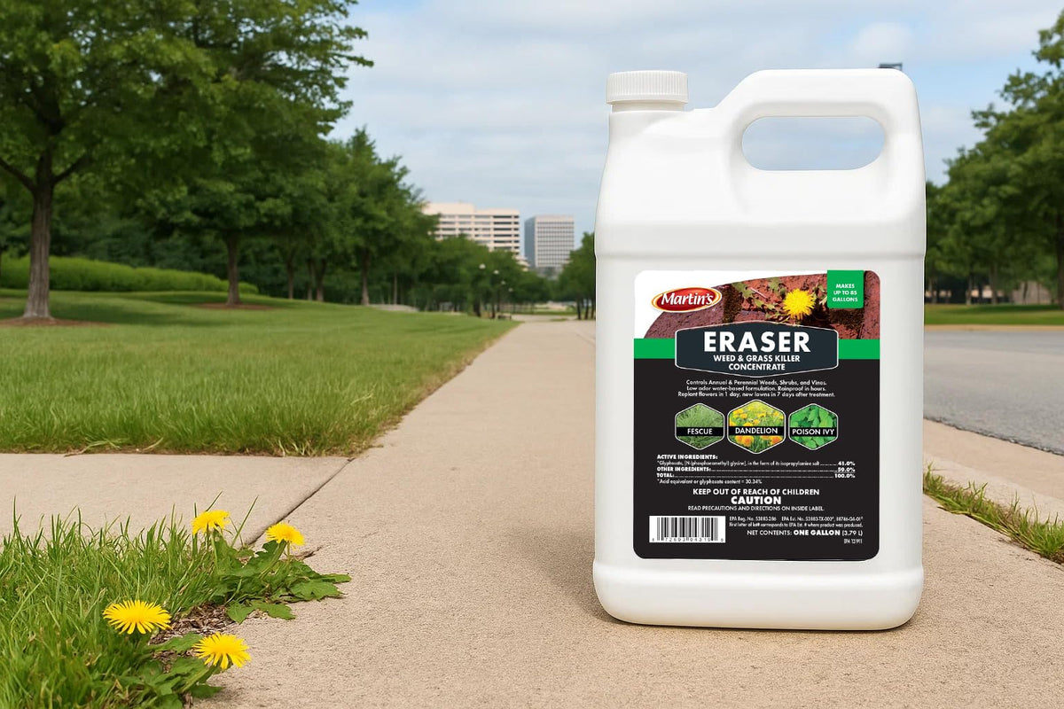 Eraser weed killer concentrate label highlights ingredients and mixing directions.