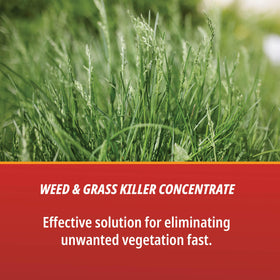 Eraser weed killer gallon container emphasizes large-volume outdoor weed control.
