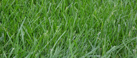Forage-focused use for pastures and wildlife habitats