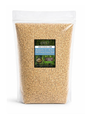 Eretz K31 Tall Fescue seed bag shows durable seed for lawns
