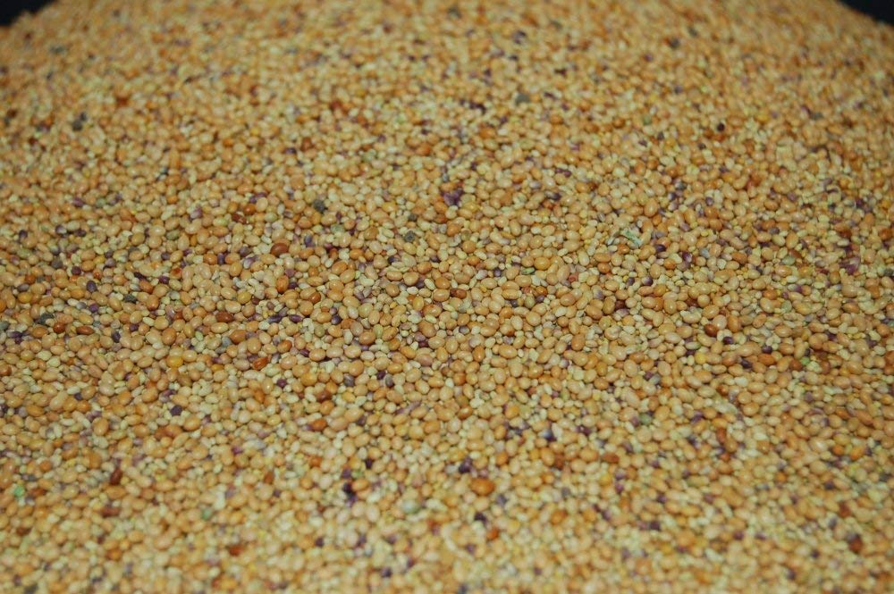 Three-petal flower varieties from Tri-Clover blend.