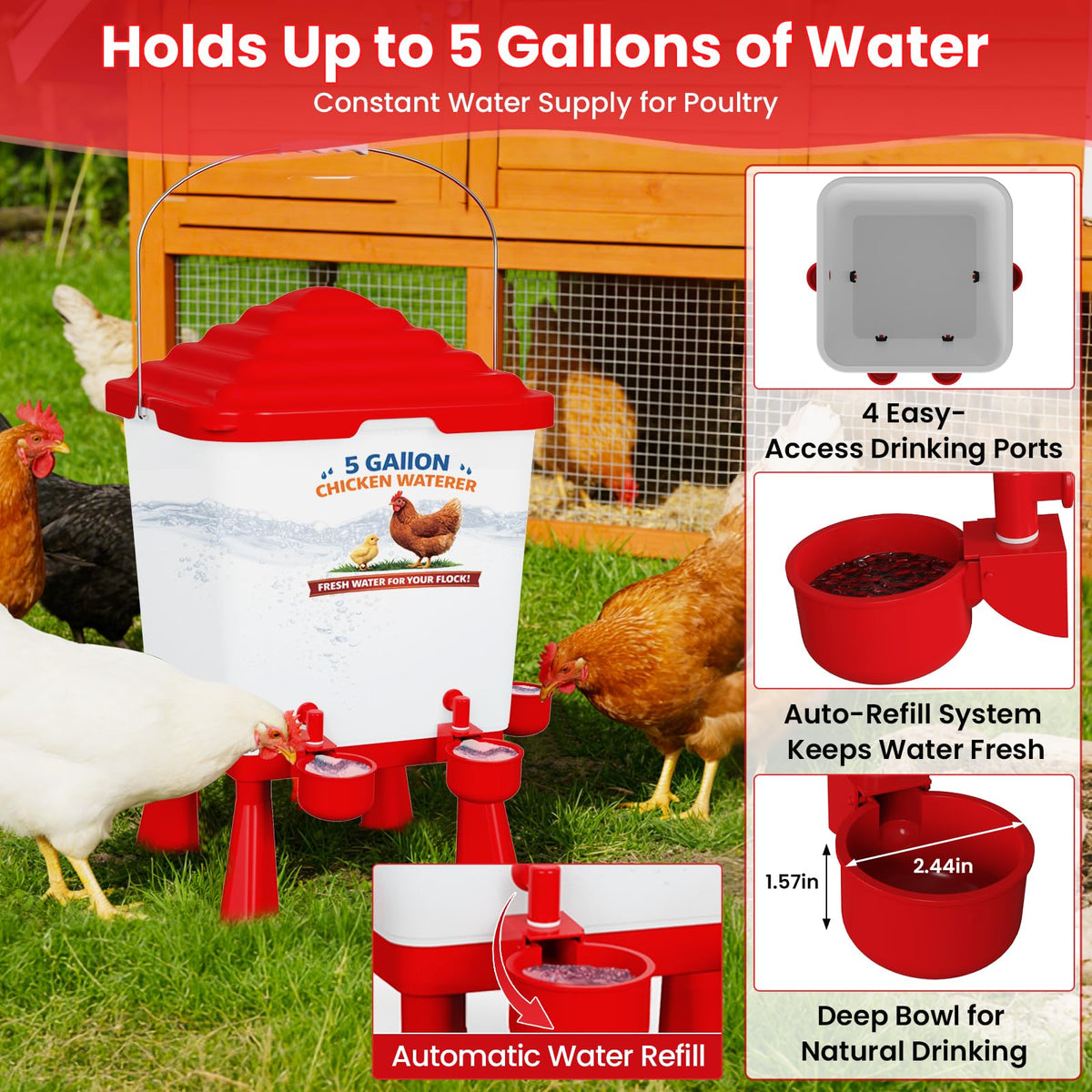 Erinaik 40 lb feeder supports multiple birds with reduced waste
