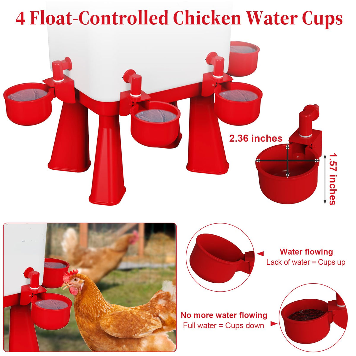 Erinaik five-cups drinking station supports multiple birds drinking simultaneously.