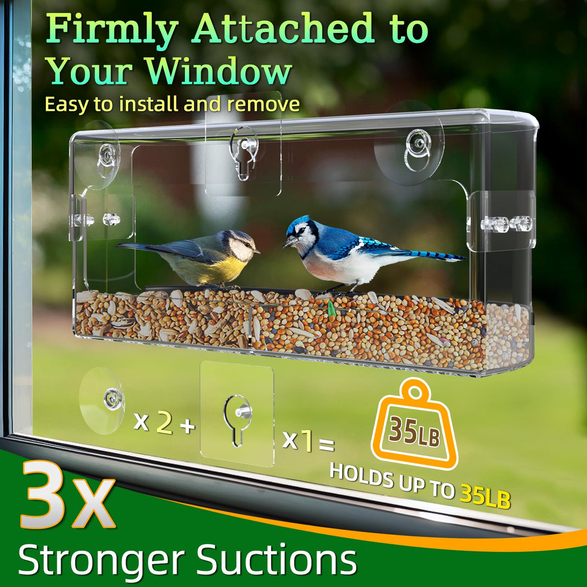 Ermete seed tray is detachable for quick refills and cleaning.