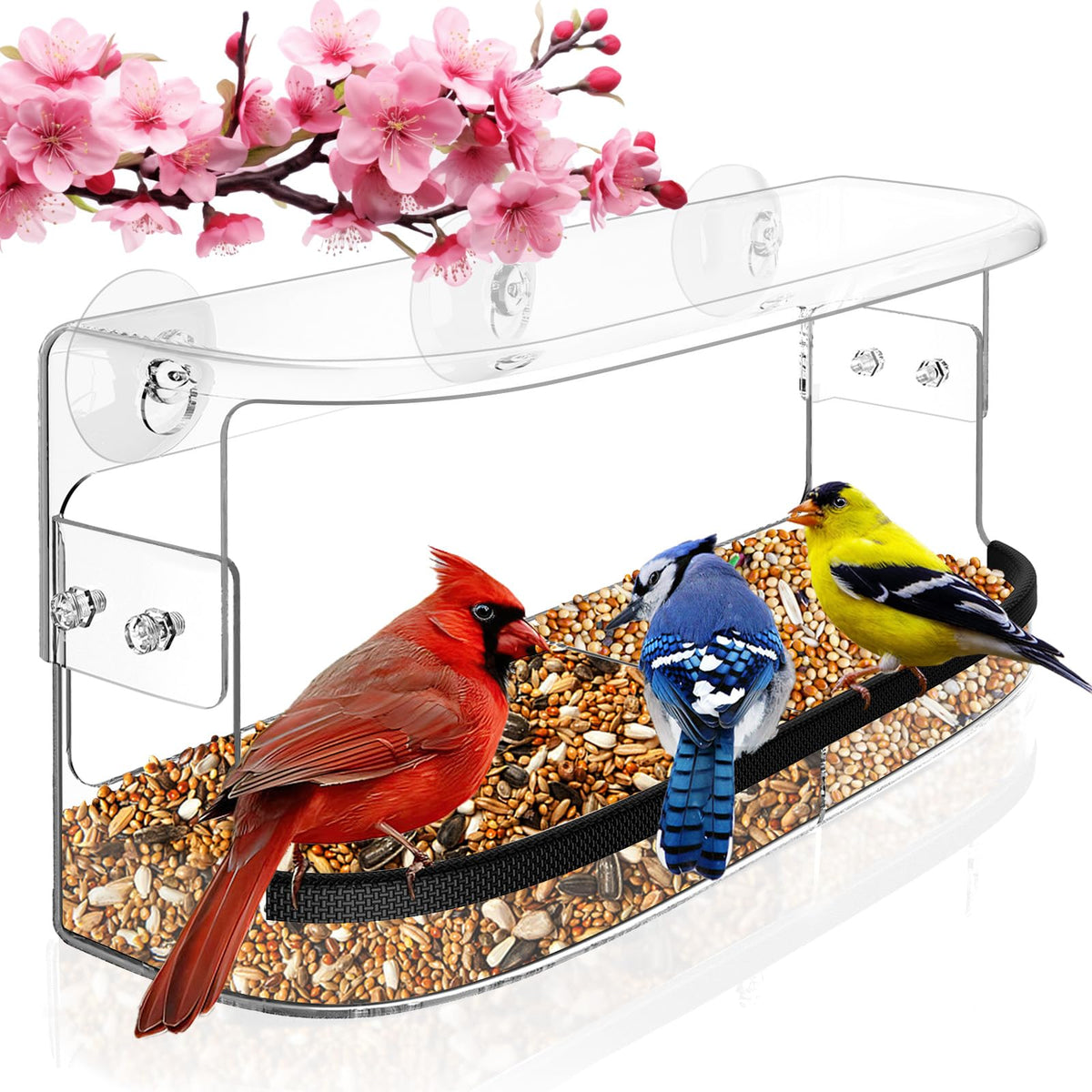 Ermete window feeder with strong suction cups for secure mounting.