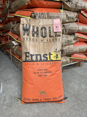 Ernst Grain & Livestock seeds poured into feeder for easy use