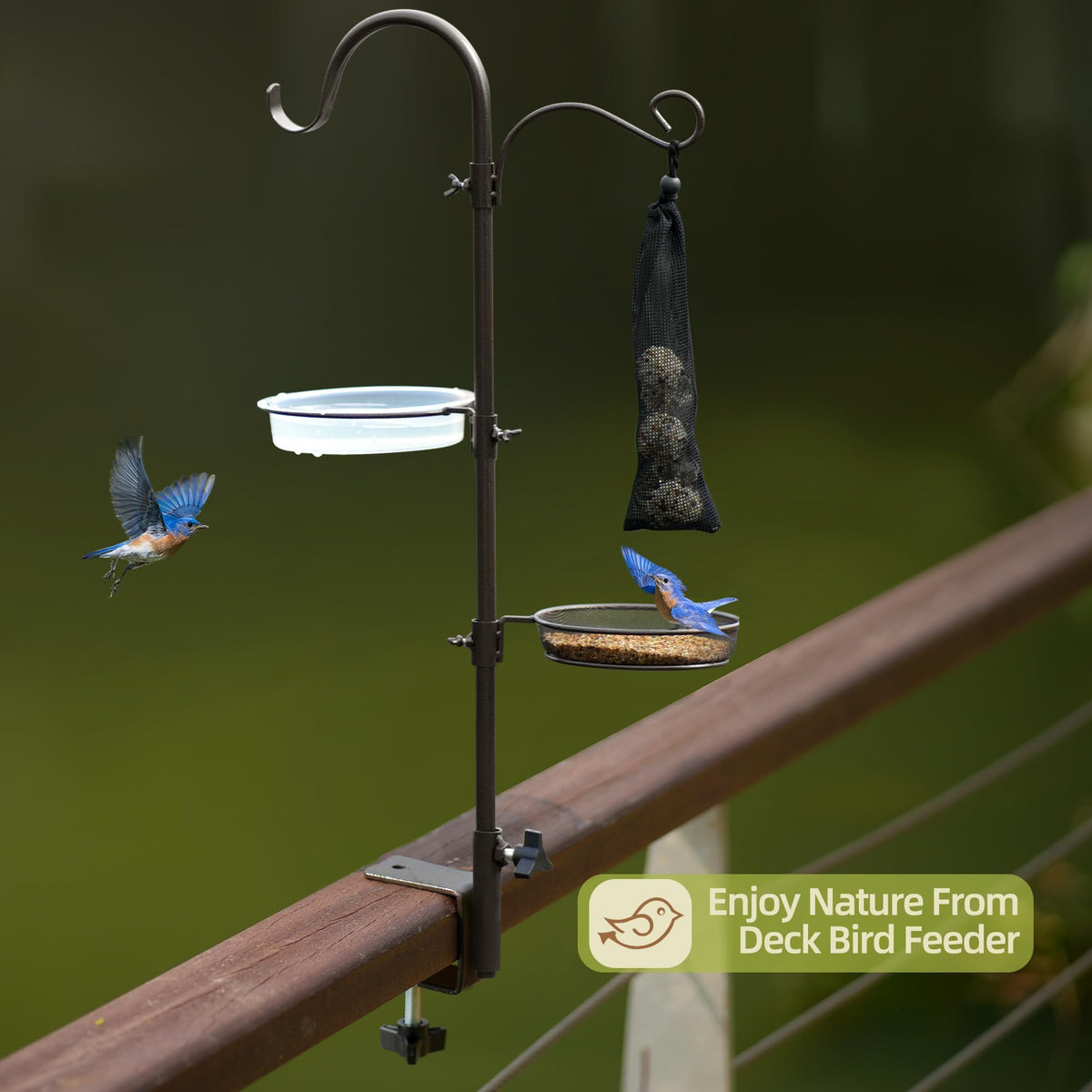 ERYTLLY bird feeding station combining feeding and watering in one setup.