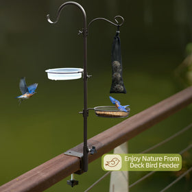 ERYTLLY bird feeding station combining feeding and watering in one setup.