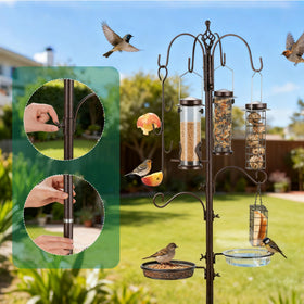 ERYTLLY Rustic garden design enhances curb appeal and bird attraction