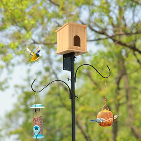 ERYTLLY pole with squirrel baffle deters intruders while supporting feeders