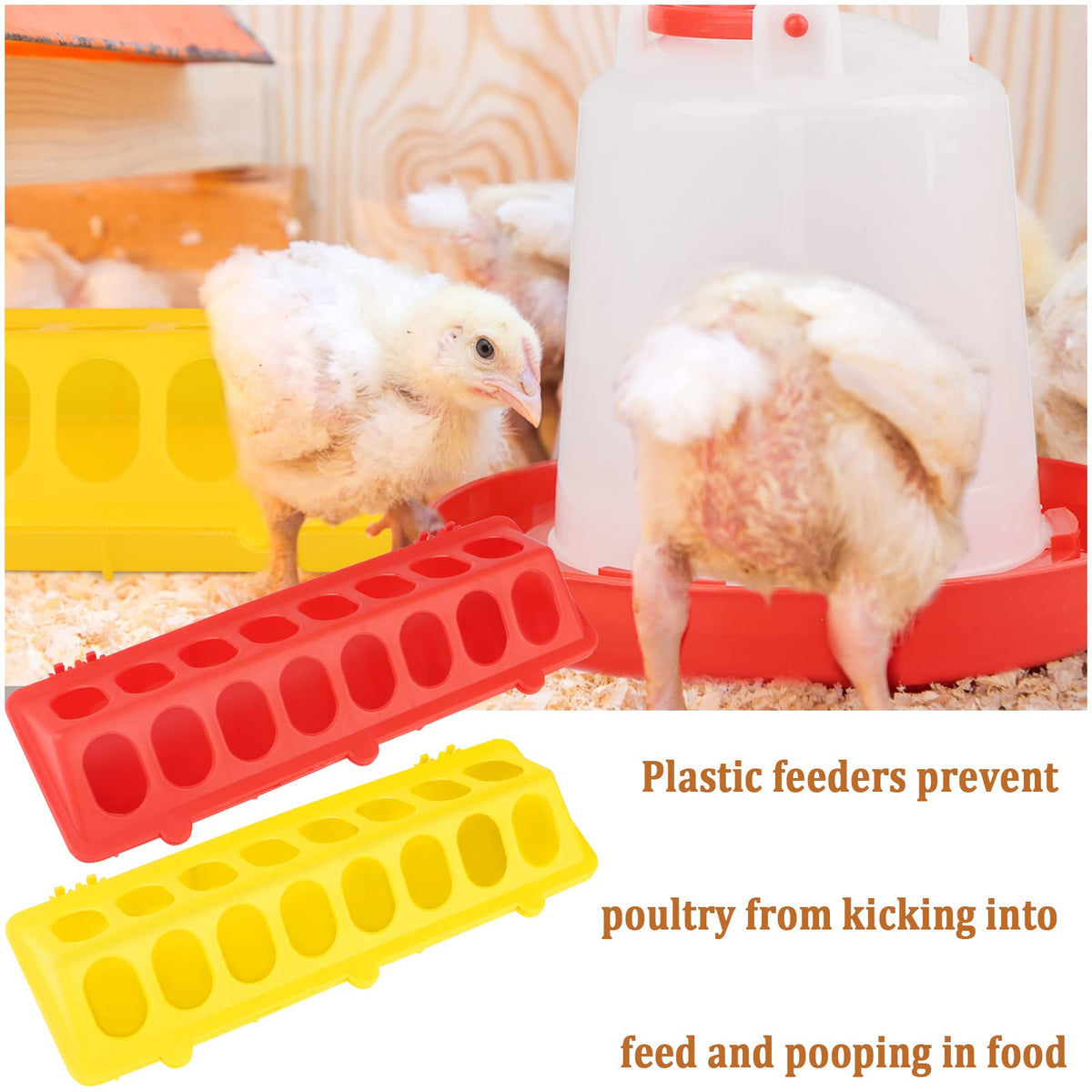 Eshylala coop use scene with chicks using waterer and feeder.