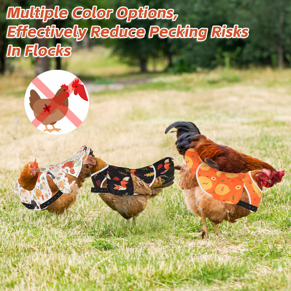Esmorah all-season comfort saddle helps hens stay comfortable year-round.