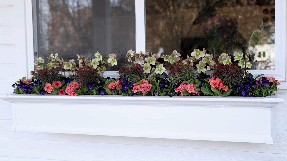 Espoma Bloom! made in the USA, rooted in natural organics since 1929.