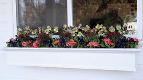 Espoma Bloom! made in the USA, rooted in natural organics since 1929.
