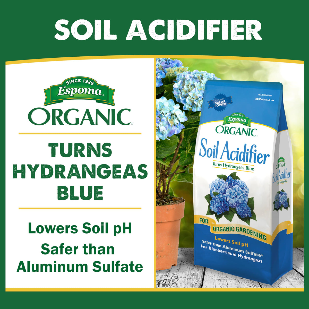 Espoma hydrangea blue bloom illustrating color potential from soil pH change