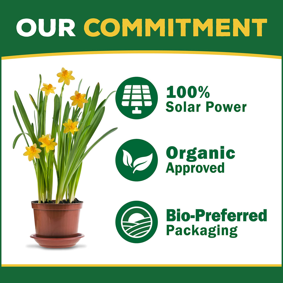 Espoma Iron-Tone supports organic gardening with non-staining formula