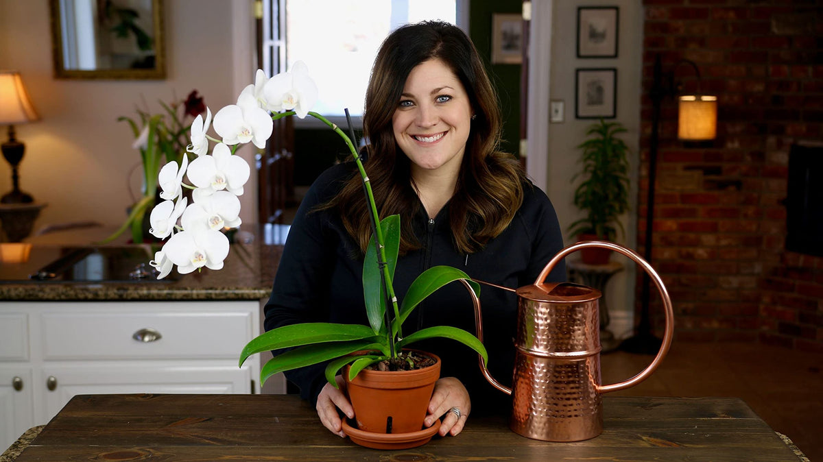 Espoma Orchid! packaging notes USA-made quality and natural organics.