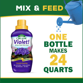 Espoma Violet feeding boosts flowering indoors for violets and plants.