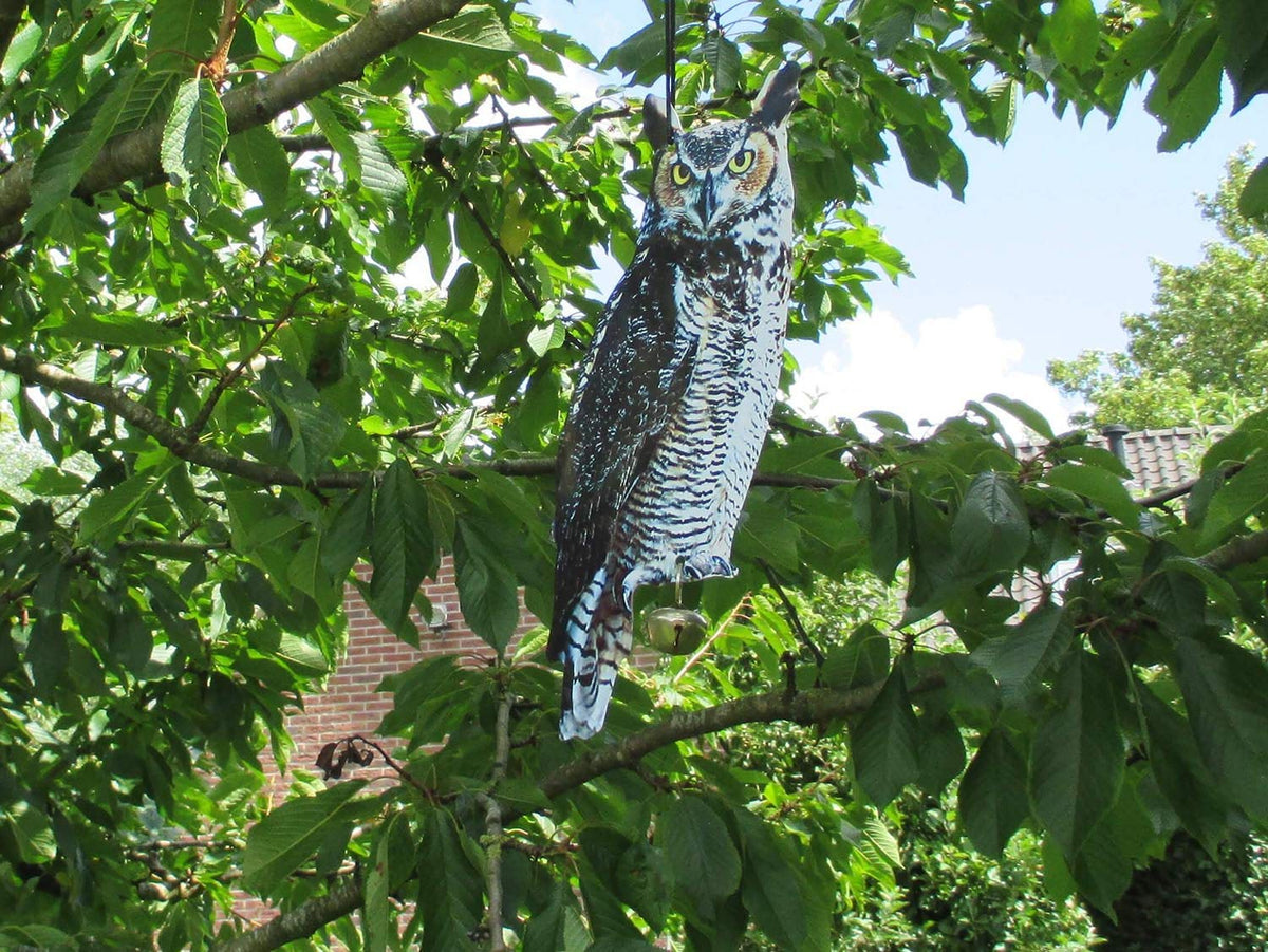 Esschert Design owl scare crow decoy hanging action deters garden birds.