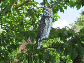 Esschert Design owl scare crow decoy hanging action deters garden birds.