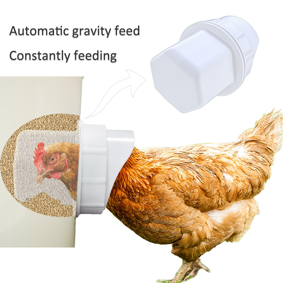 Essilnn chicken feeder built from a bucket showing simple upcycling for coops