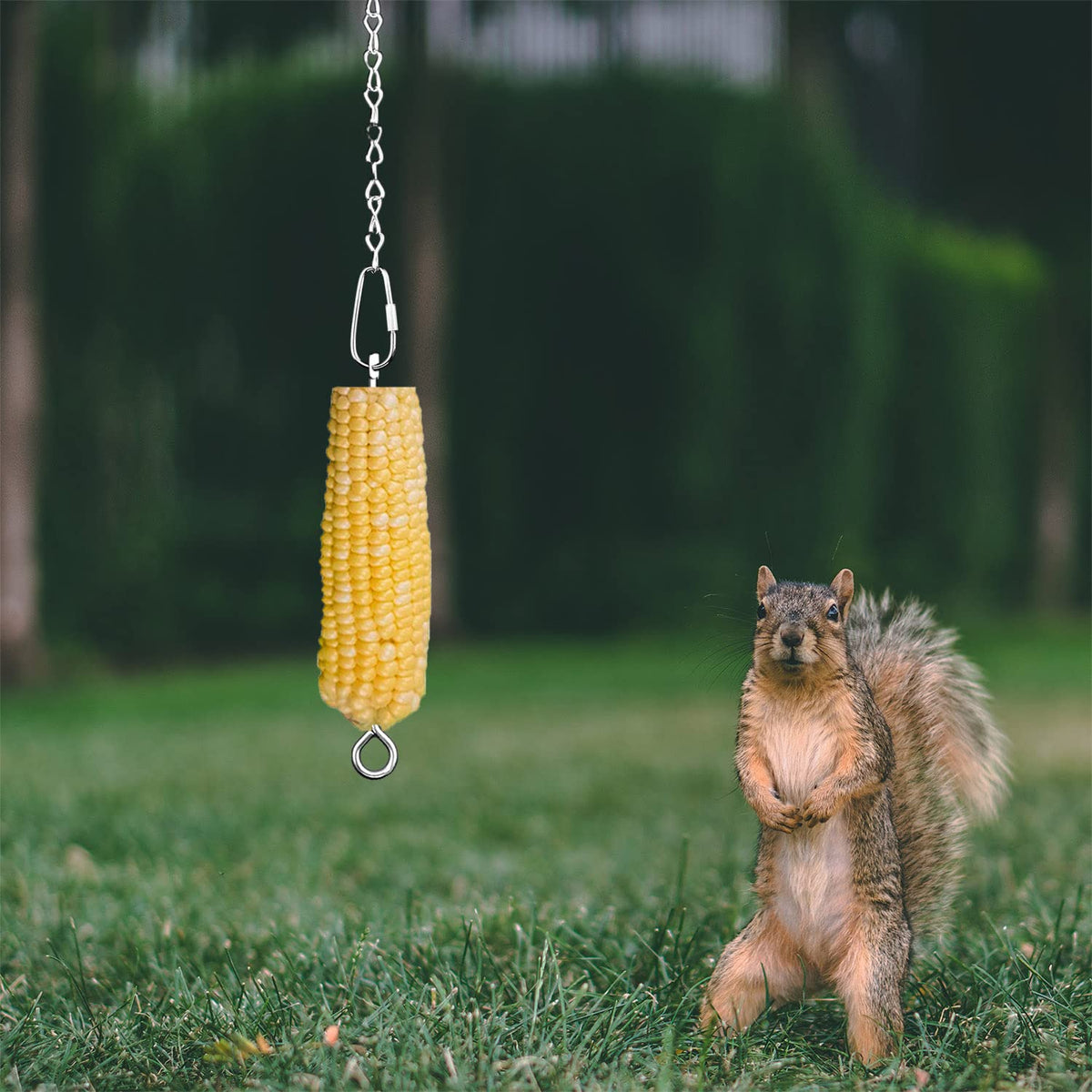 Essilnn feeder chain sways when squirrels feed, creating visual interest.