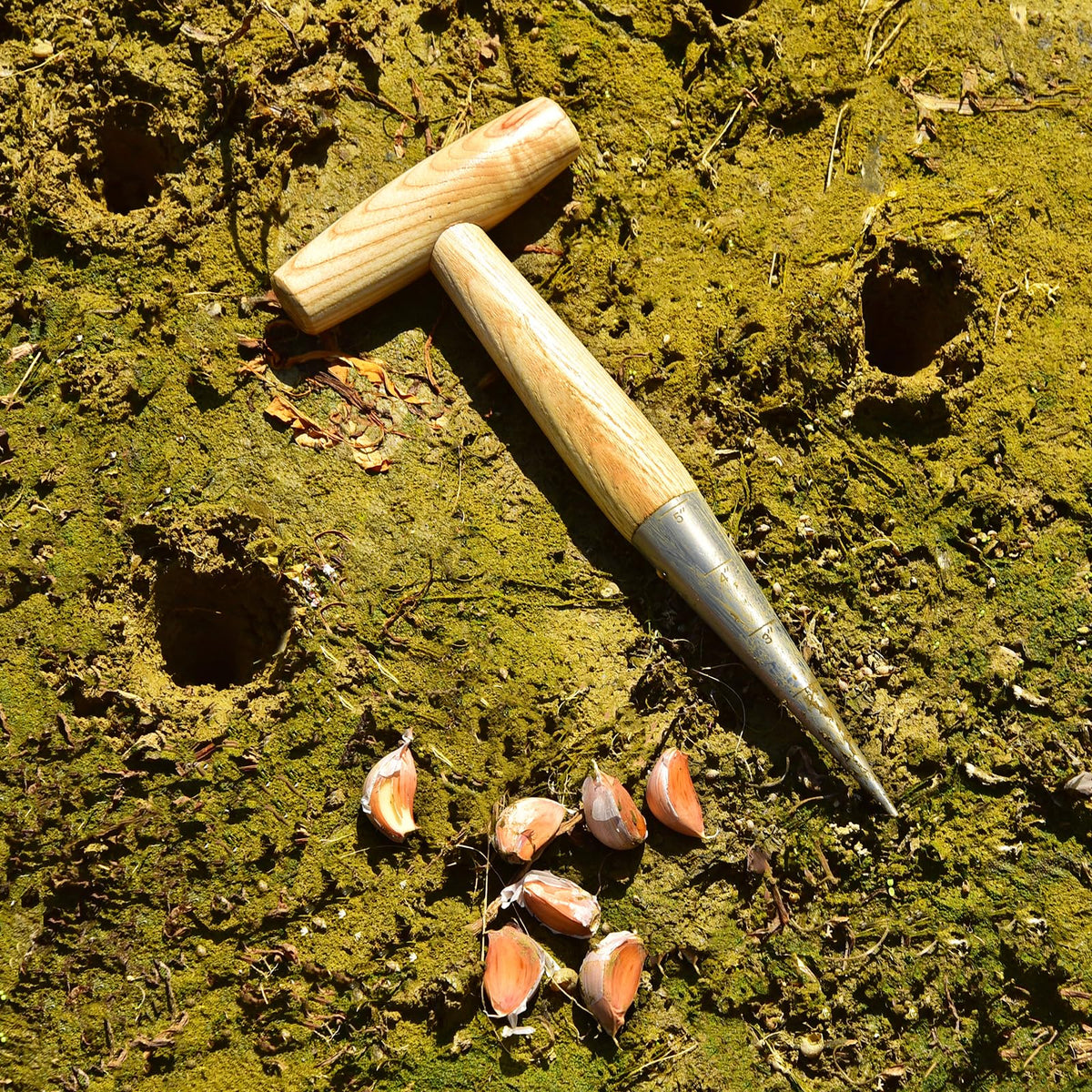 Esvopa multi-use dibber for seeds, bulbs, and stakes in the garden
