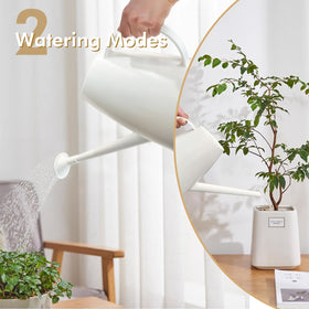 Etarewilt watering can with removable nozzle for targeted root watering.