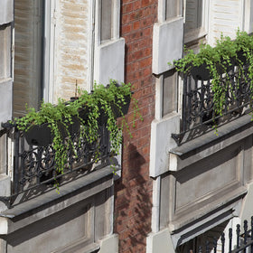 ETELI adjustable brackets in use on railing with pots