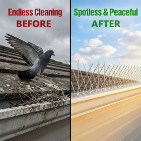 etermeish 304 stainless steel spikes resist rust, shielding gutters and beams from droppings.