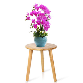 Ethuh plant stand stool for small plants in a compact living space.