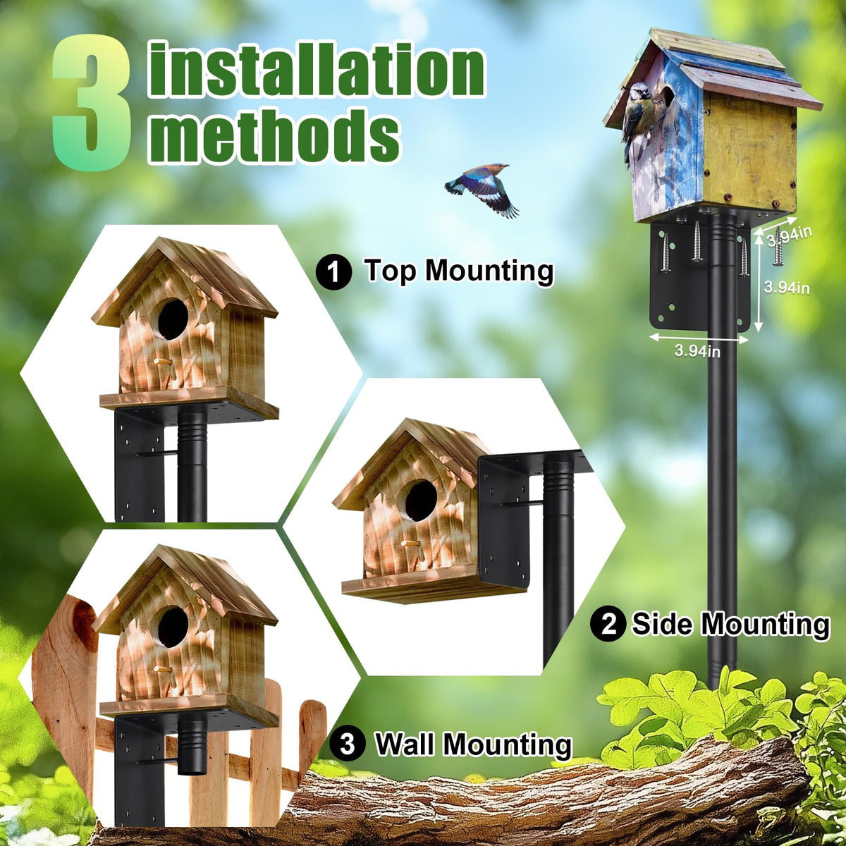 ETICSIPA bird feeder mount ready for convenient yard birding.