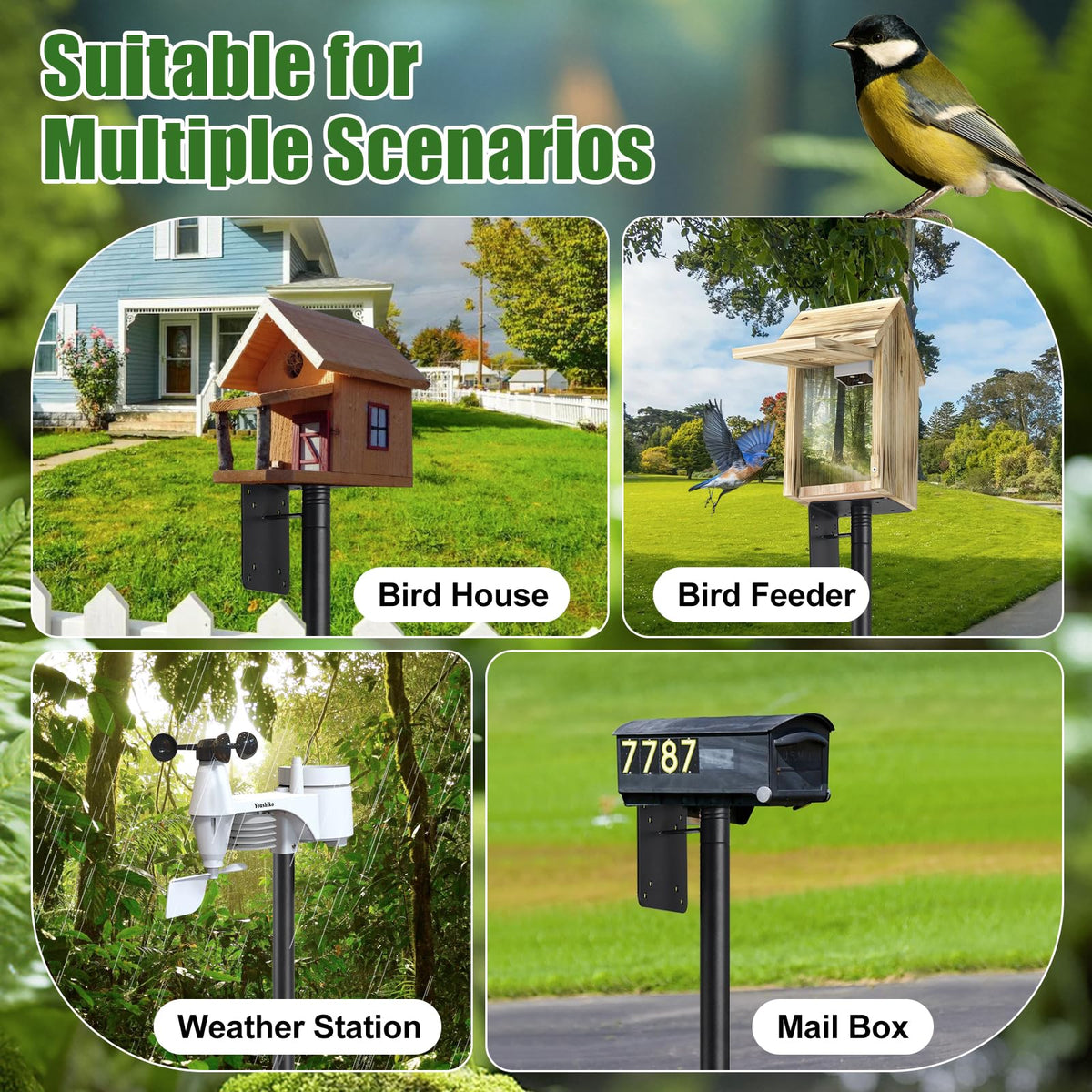 ETICSIPA heavy duty metal pole ensures durable outdoor bird setups.