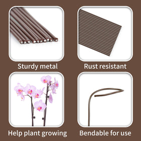Etnorsu 2cm orchid clip provides secure hold on delicate stems.