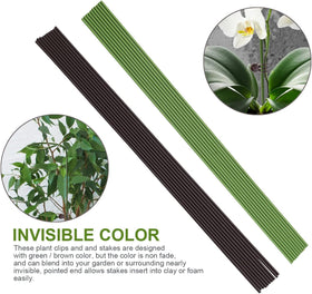 Etnorsu flexible plant stake adjusts to plant height and growth direction
