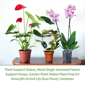 Etnorsu garden stakes for indoor and outdoor use with easy repositioning.